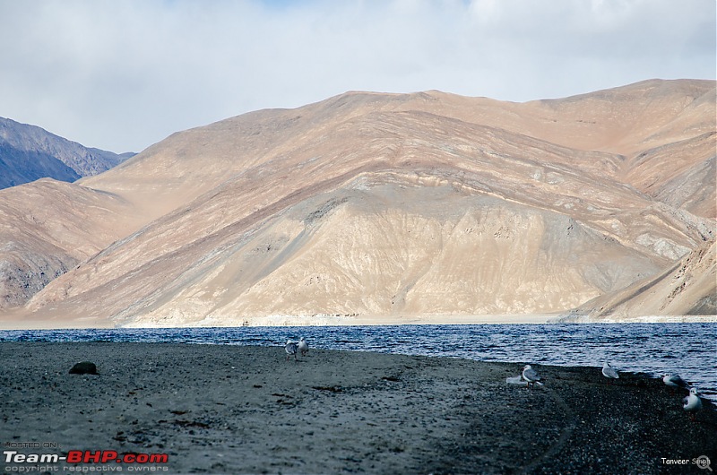 18 Passes, 15 lakes and 2 breakdowns : Ladakh and Lahaul call again-dsc_dsc_6360_lrxl.jpg