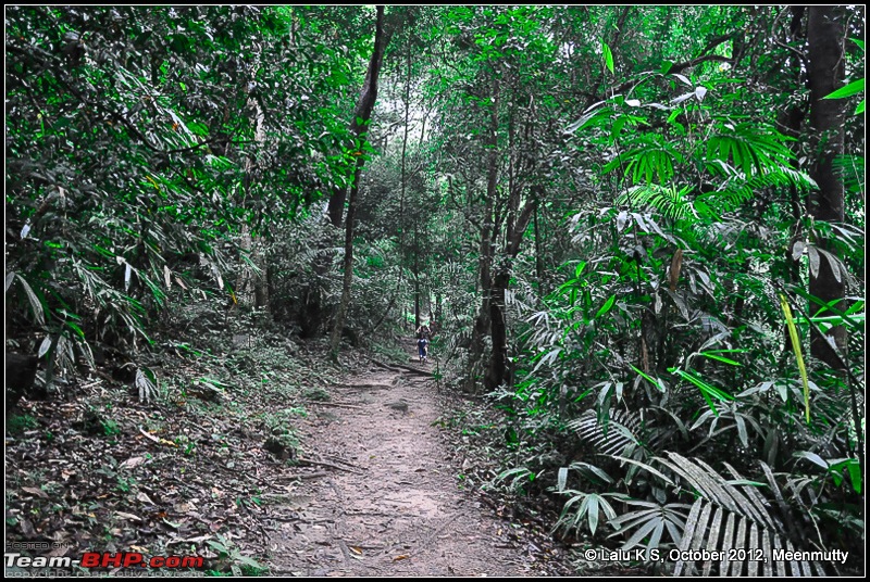 Civved : Thiruvananthapuram, Kollam - A Journey Back to Our Roots-dsc_4684.jpg