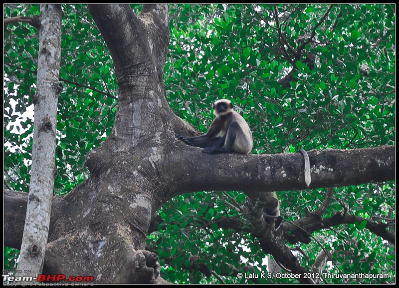 Civved : Thiruvananthapuram, Kollam - A Journey Back to Our Roots-dsc_5042.jpg