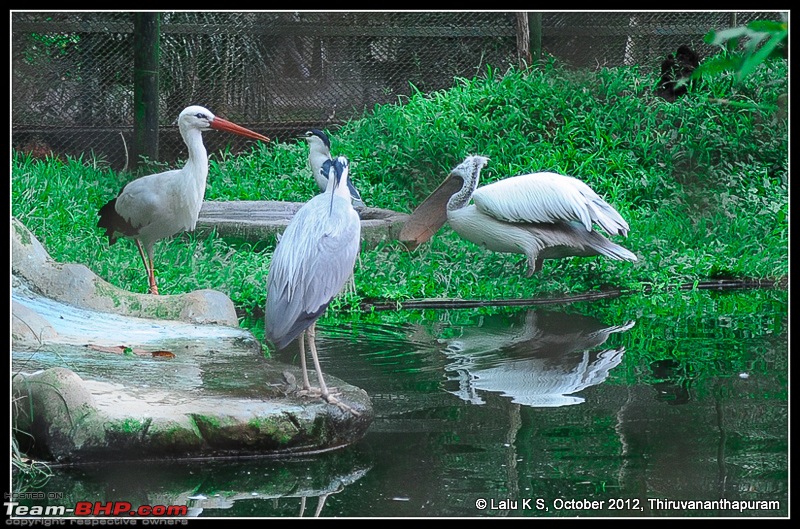 Civved : Thiruvananthapuram, Kollam - A Journey Back to Our Roots-dsc_5070.jpg