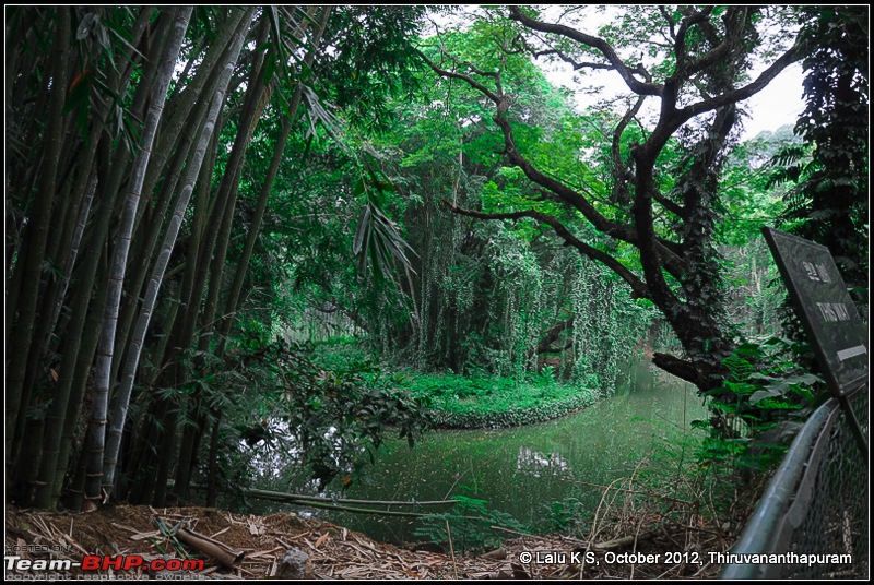 Civved : Thiruvananthapuram, Kollam - A Journey Back to Our Roots-dsc_5072.jpg