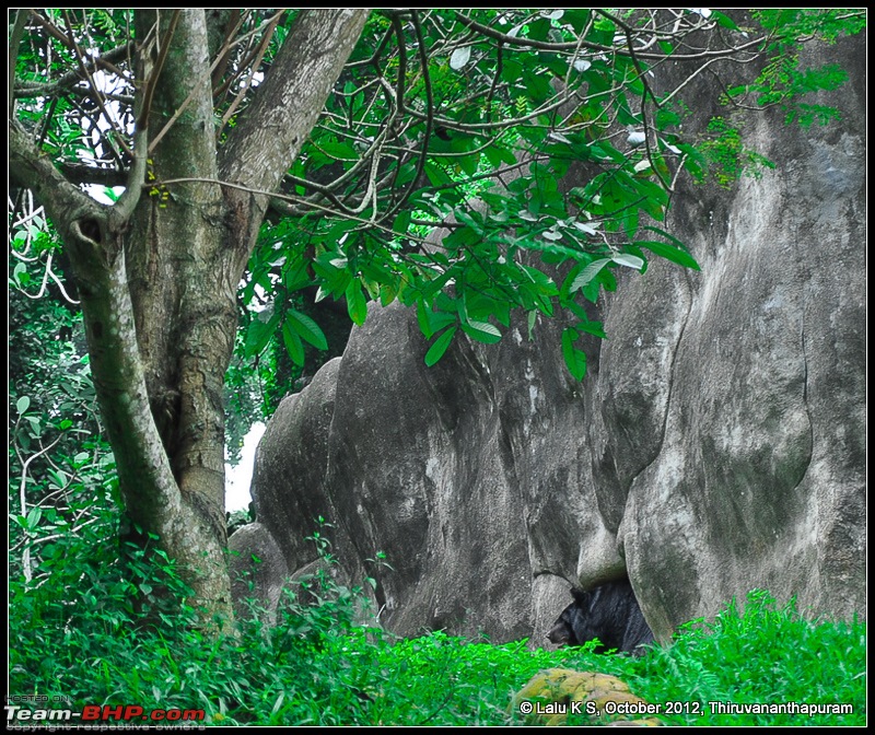 Civved : Thiruvananthapuram, Kollam - A Journey Back to Our Roots-dsc_5093.jpg