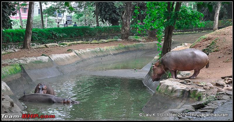 Civved : Thiruvananthapuram, Kollam - A Journey Back to Our Roots-dsc_5103.jpg