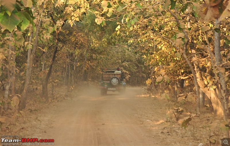 The Mumbai cheetah goes to greet the Sasan Gir Lion (A Gujarat travelogue)-dsc_0461.jpg