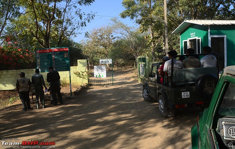 The Mumbai cheetah goes to greet the Sasan Gir Lion (A Gujarat travelogue)-dsc_0181.jpg