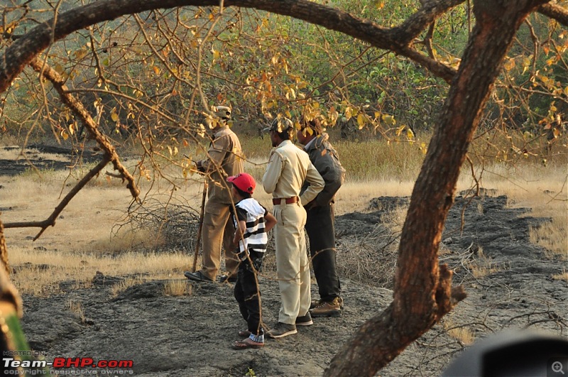 The Mumbai cheetah goes to greet the Sasan Gir Lion (A Gujarat travelogue)-dsc_0794.jpg