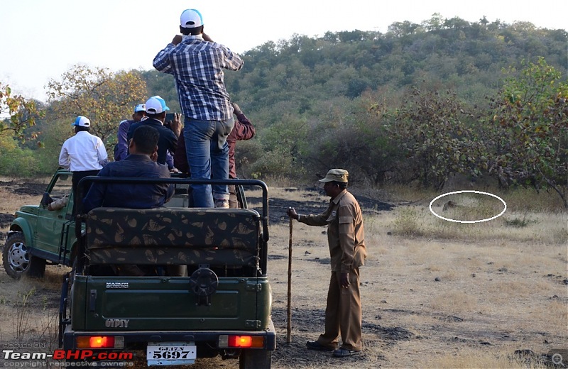 The Mumbai cheetah goes to greet the Sasan Gir Lion (A Gujarat travelogue)-dsc_0212.jpg