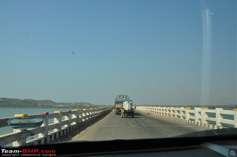 The Mumbai cheetah goes to greet the Sasan Gir Lion (A Gujarat travelogue)-dsc_0972.jpg