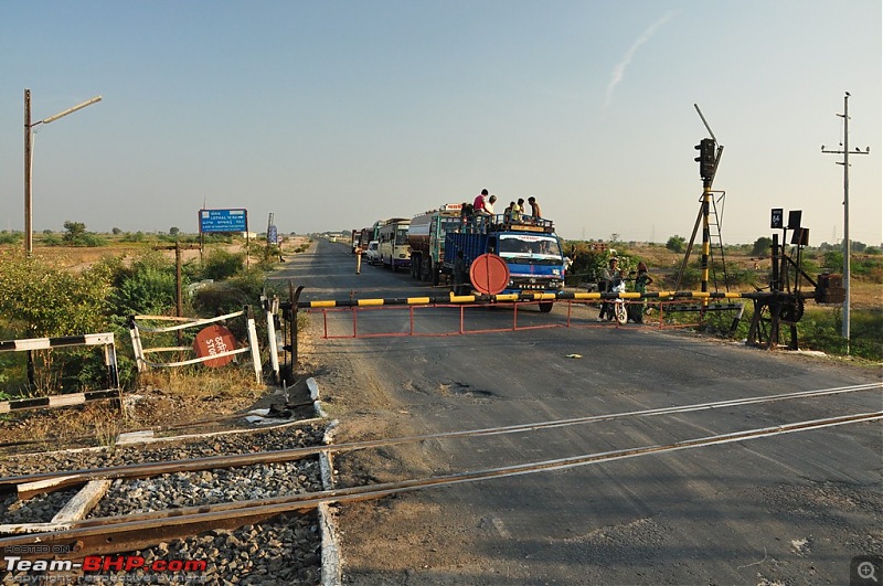 The Mumbai cheetah goes to greet the Sasan Gir Lion (A Gujarat travelogue)-dsc_0370.jpg