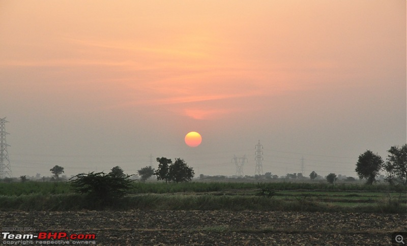 The Mumbai cheetah goes to greet the Sasan Gir Lion (A Gujarat travelogue)-dsc_0457.jpg