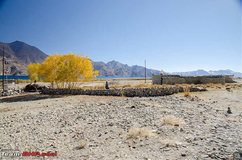 18 Passes, 15 lakes and 2 breakdowns : Ladakh and Lahaul call again-dsc_dsc_6451_lrxl.jpg