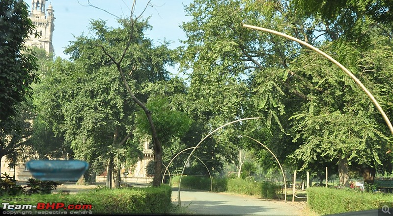 The Mumbai cheetah goes to greet the Sasan Gir Lion (A Gujarat travelogue)-dsc_0509.jpg