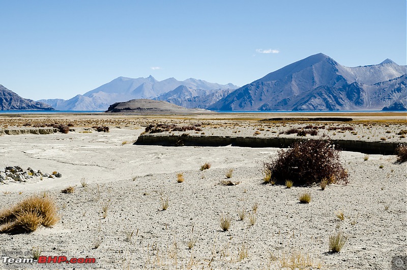18 Passes, 15 lakes and 2 breakdowns : Ladakh and Lahaul call again-dsc_dsc_6481_lrxl.jpg