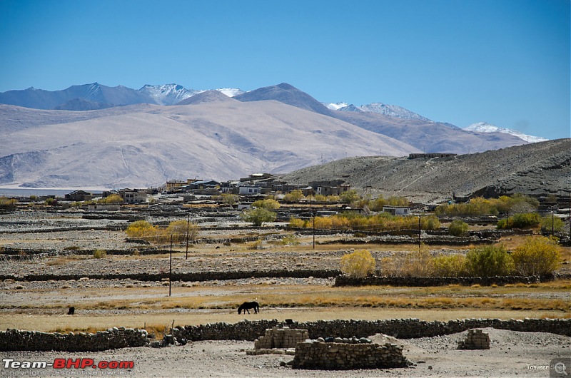 18 Passes, 15 lakes and 2 breakdowns : Ladakh and Lahaul call again-dsc_dsc_6490_lrxl.jpg