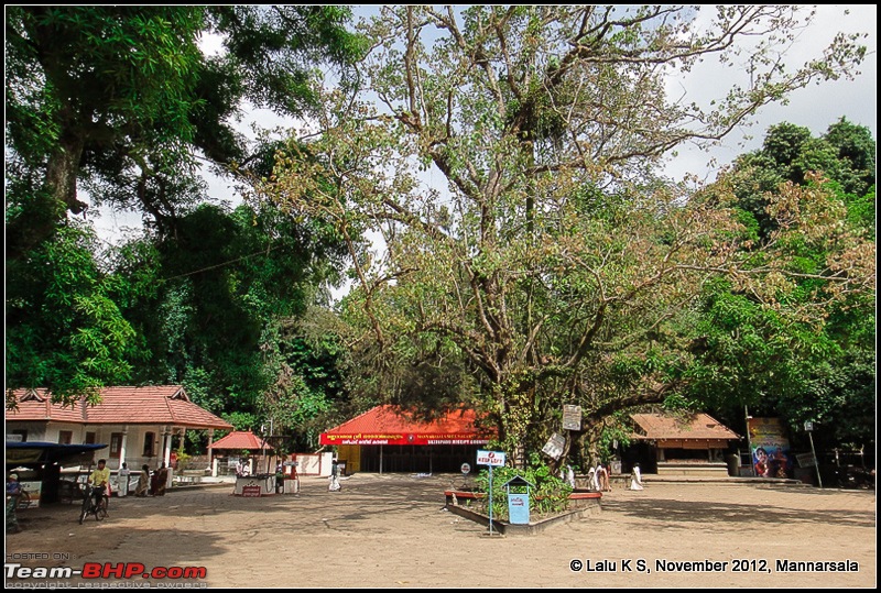 Civved : Thiruvananthapuram, Kollam - A Journey Back to Our Roots-dsc04916.jpg