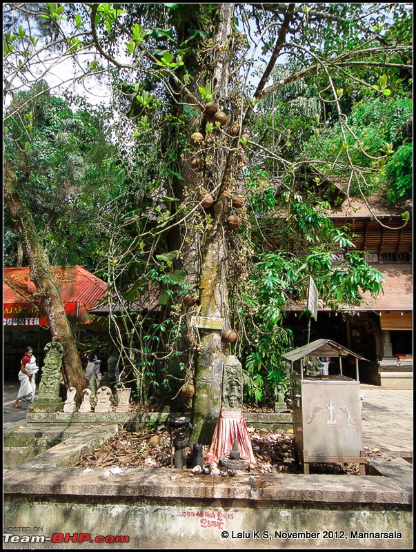 Civved : Thiruvananthapuram, Kollam - A Journey Back to Our Roots-dsc04918.jpg