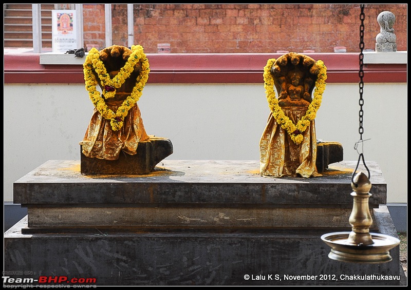 Civved : Thiruvananthapuram, Kollam - A Journey Back to Our Roots-dsc_6158.jpg