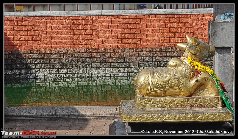 Civved : Thiruvananthapuram, Kollam - A Journey Back to Our Roots-dsc_6171.jpg