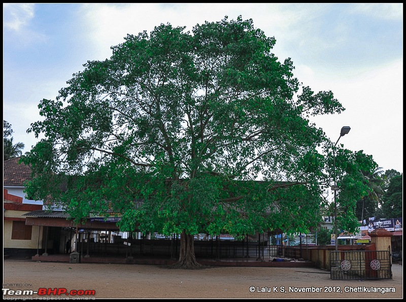 Civved : Thiruvananthapuram, Kollam - A Journey Back to Our Roots-dsc_6231.jpg