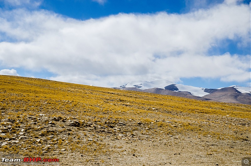 18 Passes, 15 lakes and 2 breakdowns : Ladakh and Lahaul call again-dsc_dsc_6589_lrxl.jpg