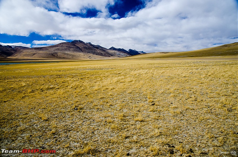 18 Passes, 15 lakes and 2 breakdowns : Ladakh and Lahaul call again-dsc_dsc_6605_lrxl.jpg
