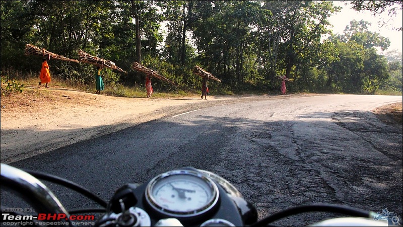 Bihar - A Bullet ride to Sonepur Mela & a Safari drive to Valmiki National Park-sonepur93.jpg