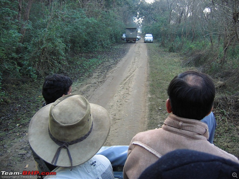 Different Shades of Green-A Trip To Jim Corbett National Park-img_1534.jpg