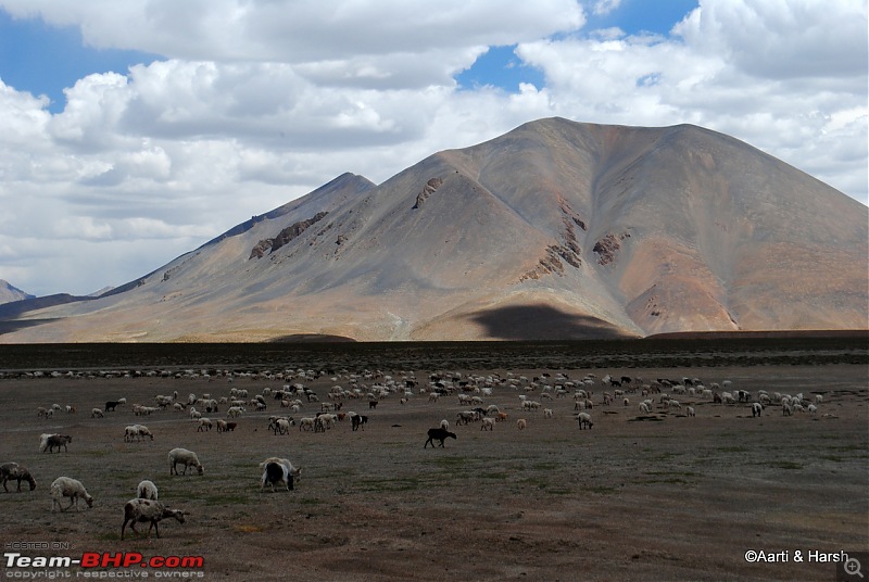 Six Wanderers Ride to Ladakh-28dsc_7298.jpg