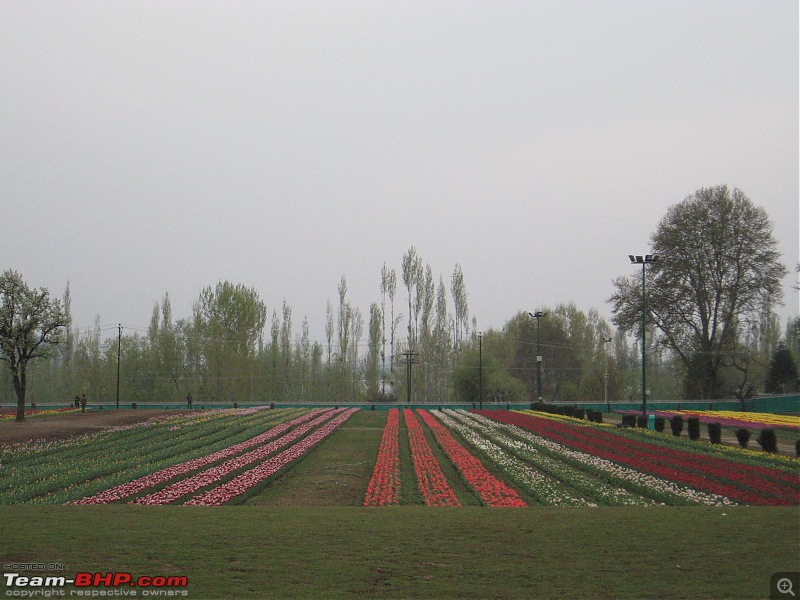 Pictures from Kashmir-img_0308.jpg