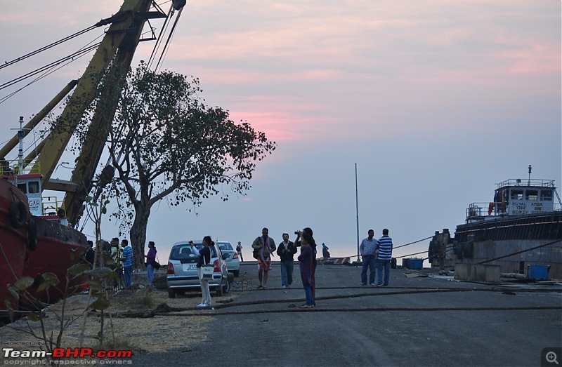 Flamingo watching at Sewri-Mumbai-dsc_0412.jpg