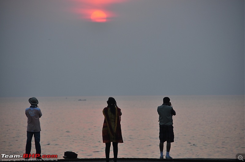 Flamingo watching at Sewri-Mumbai-dsc_0419.jpg