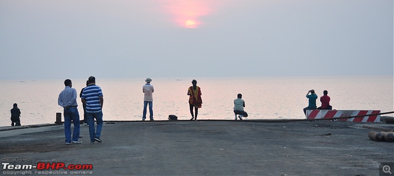 Flamingo watching at Sewri-Mumbai-dsc_0420.jpg