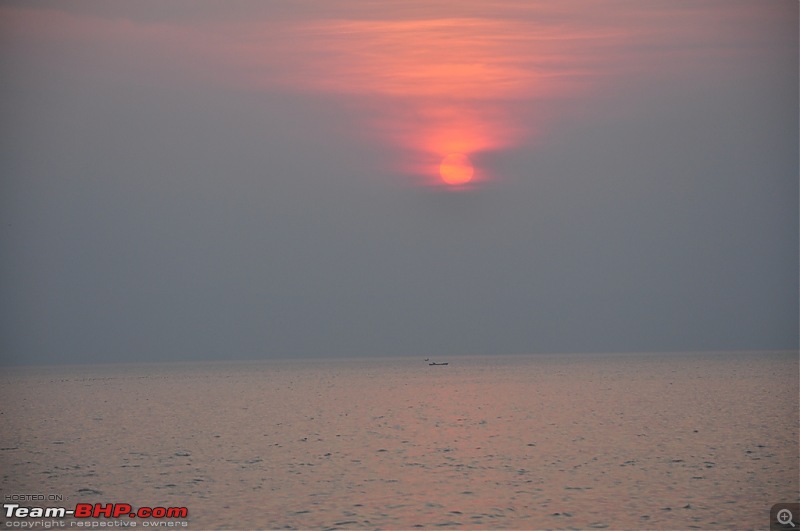 Flamingo watching at Sewri-Mumbai-dsc_0422.jpg