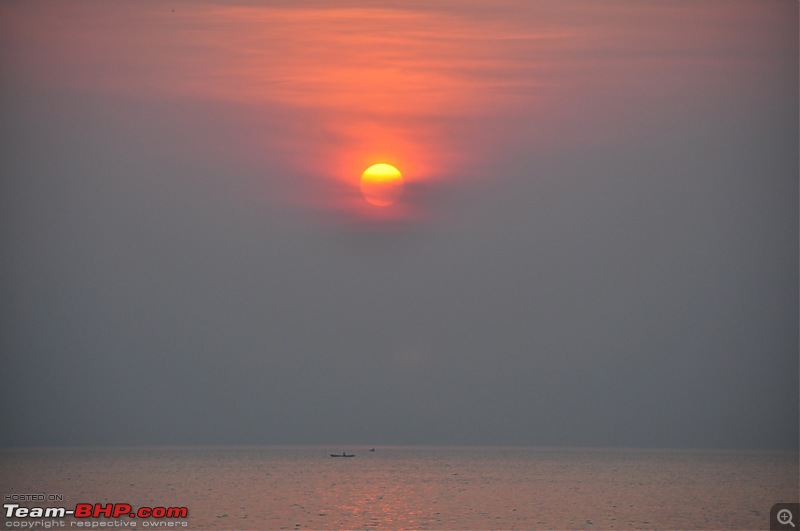 Flamingo watching at Sewri-Mumbai-dsc_0423.jpg