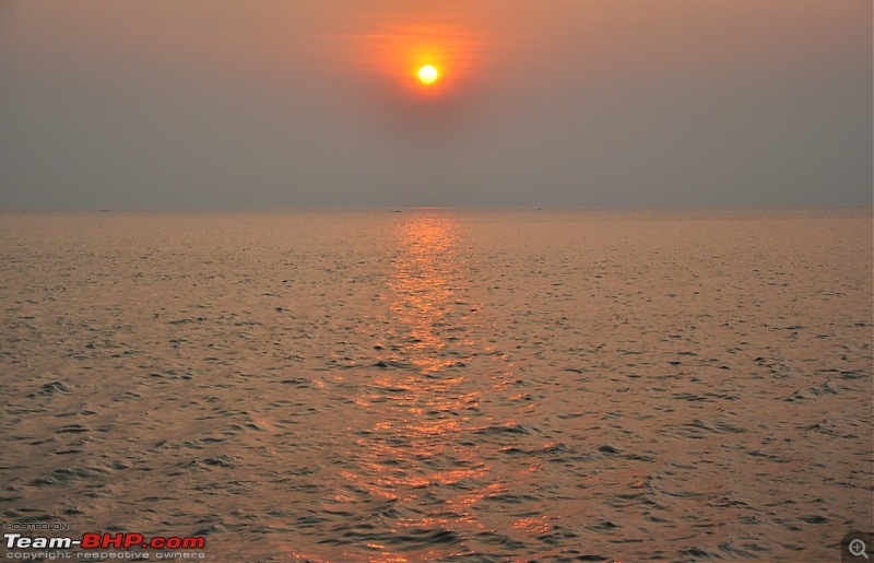 Flamingo watching at Sewri-Mumbai-dsc_0434.jpg