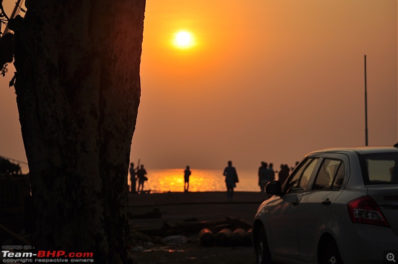 Flamingo watching at Sewri-Mumbai-dsc_0450.jpg