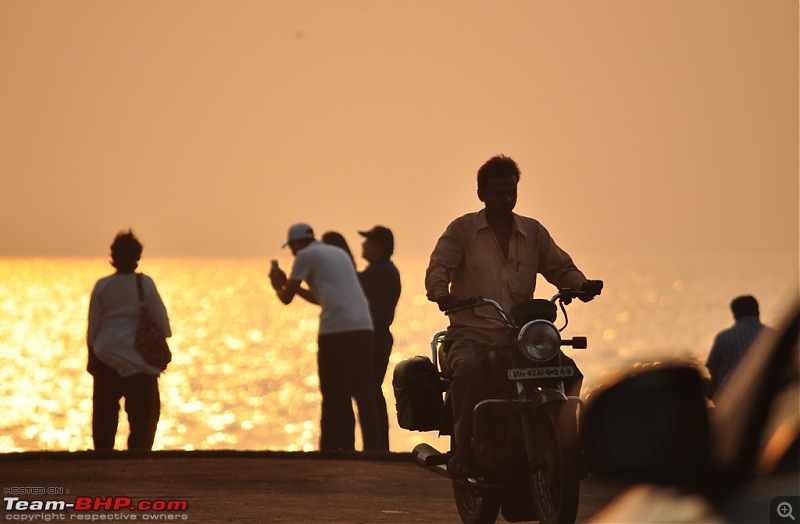 Flamingo watching at Sewri-Mumbai-dsc_0478.jpg