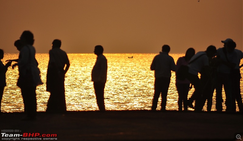 Flamingo watching at Sewri-Mumbai-dsc_0479.jpg