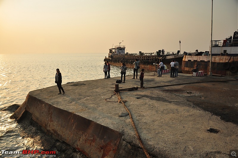 Flamingo watching at Sewri-Mumbai-dsc_0486.jpg