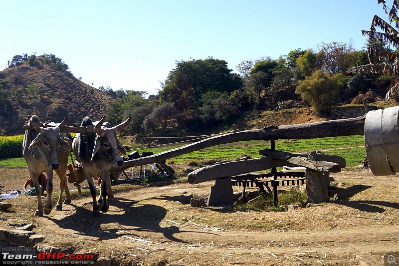 Hawk-On-Fours (H-4) Roadtrip: Kumbhalgarh & Ranakpur-pwheel1k300.jpg