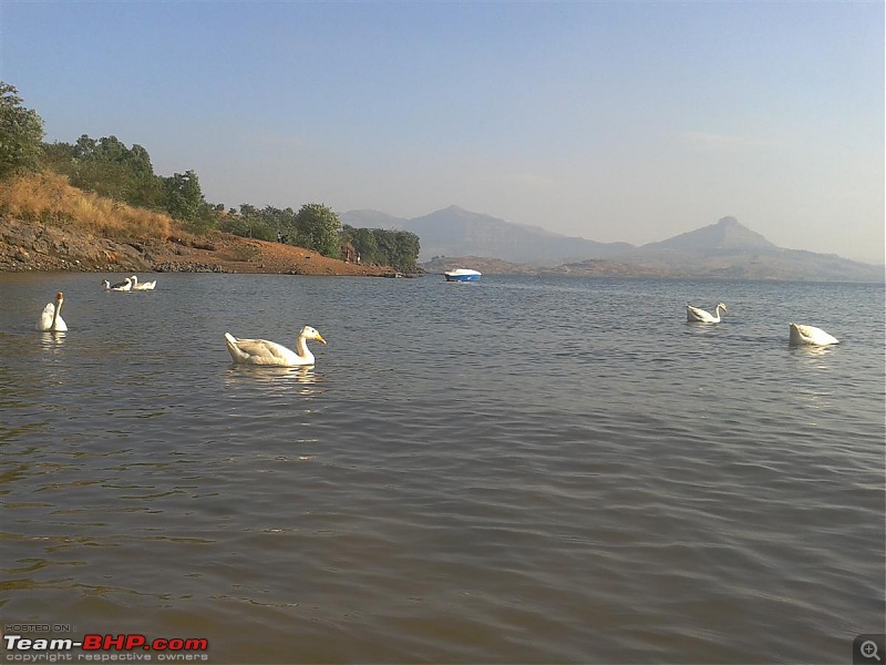 New Year's Refresh with a swift picnic to Pavana Dam-20130101-16.12.21-custom.jpg