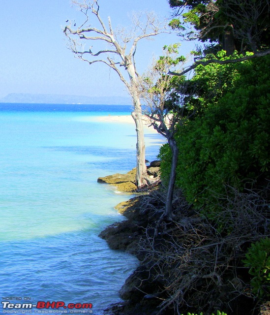 Neil Island - Don't miss the woods for the beaches-dsc015971.jpg