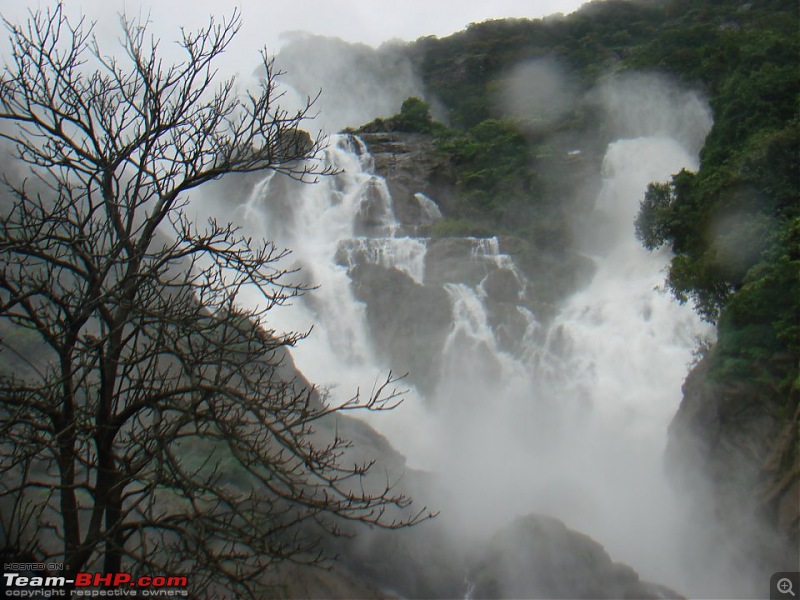 Dudh Sagar Falls, Goa - A Weekend Getaway from Bangalore-625527_10151075624064518_648150419_n.jpg