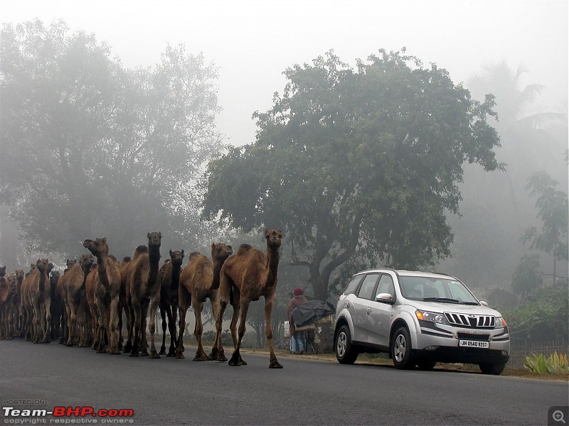 Drive to Gangtok, Nathu La, Lachung & Yumthang in my XUV500-xuv010.jpg