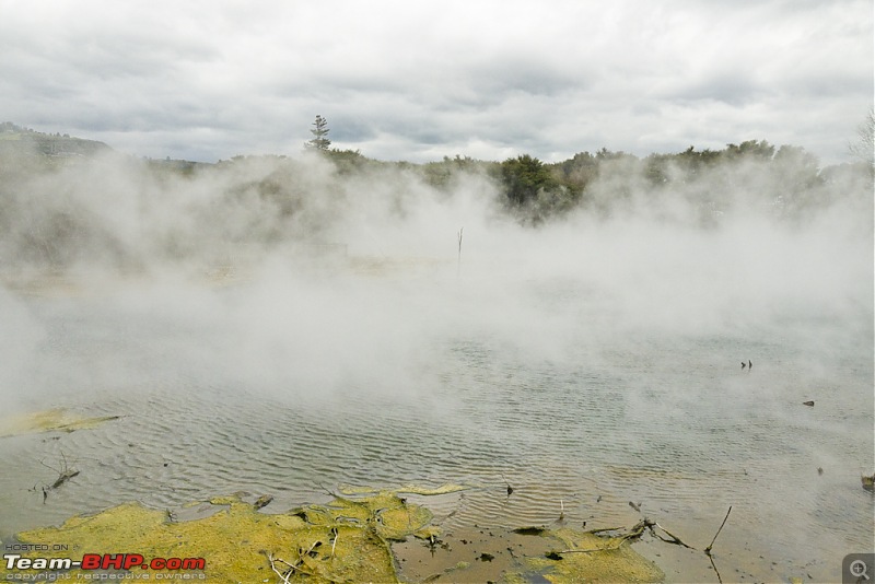 There and back again - A trip to New Zealand-_1010931.jpg