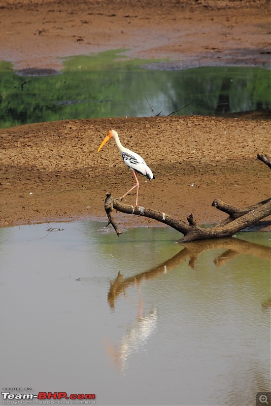 A thirst for photography lead me to Srivillputhur-img_0406.jpg