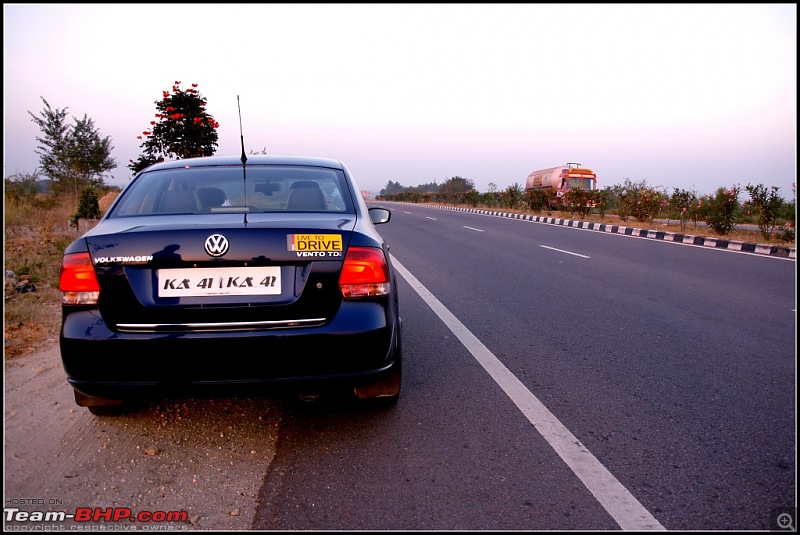 Sakleshpur - To reach for the skies-dsc05717.jpg