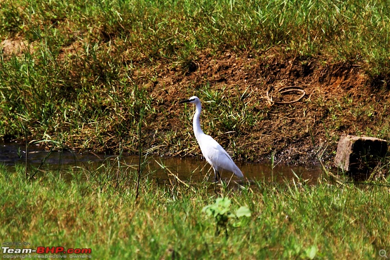 A thirst for photography lead me to Srivillputhur-img_0766.jpg