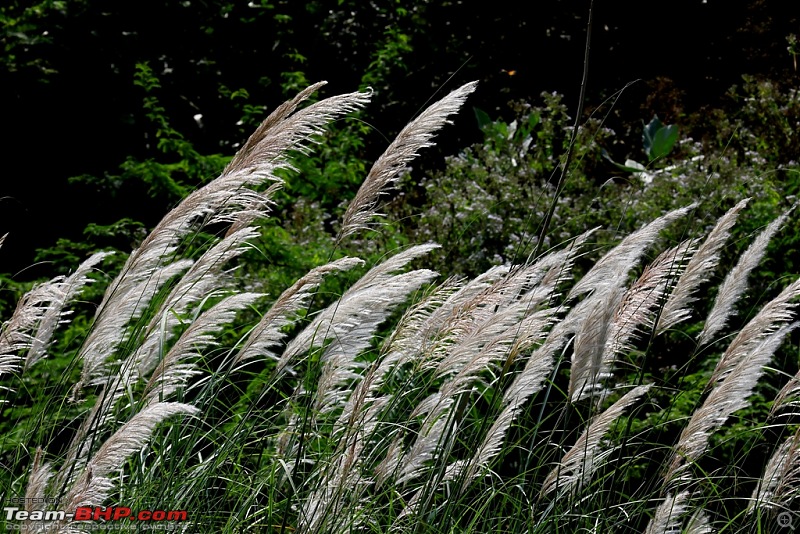 A thirst for photography lead me to Srivillputhur-img_0769.jpg