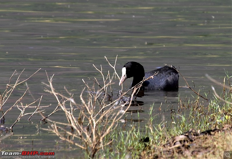 A thirst for photography lead me to Srivillputhur-img_0780.jpg